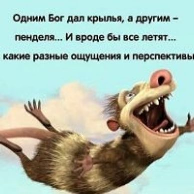 Одним Бог дал крылья другим пешем И врем бы из мт шие разные ощущения и пережив