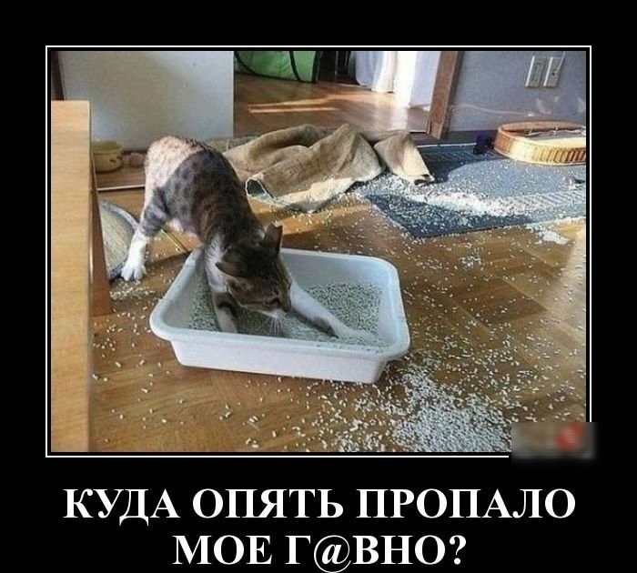 535 КУДА опять ПРОПАЛО МОЕ ГВНО