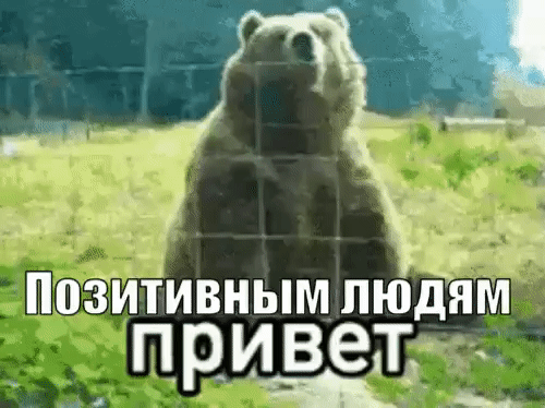 31Ёивным пюдёям пищи
