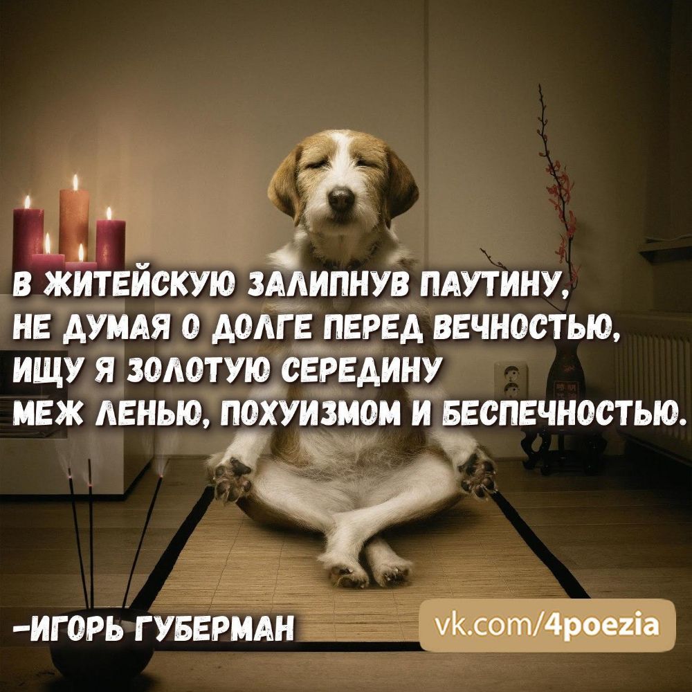 О как тяжёп собачий век И в дождь и в снег и в слякоть Из дома гонит  человек 7 И заставляет какать _ _ - выпуск №293619