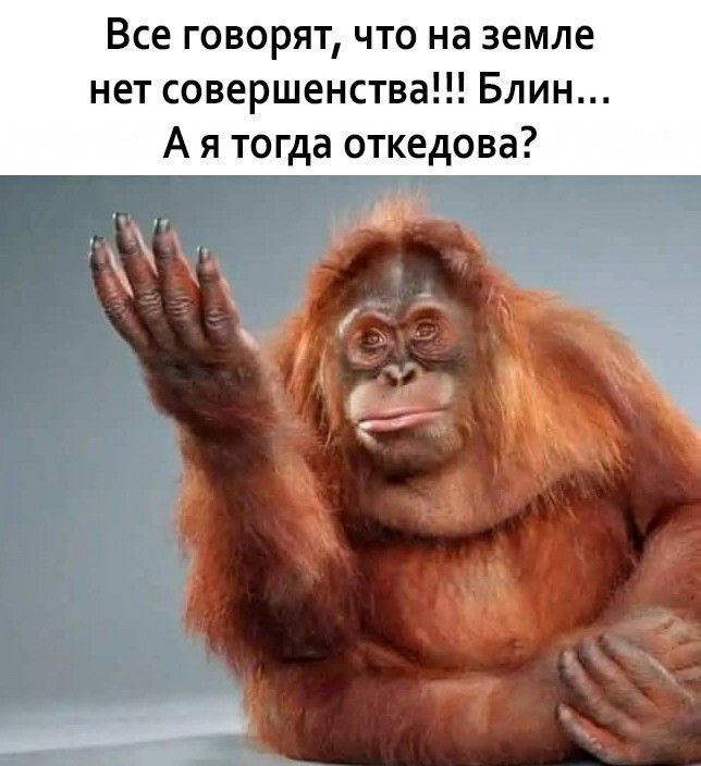 Все говорят что на земле нет совершенства Блин А я тогда откедова