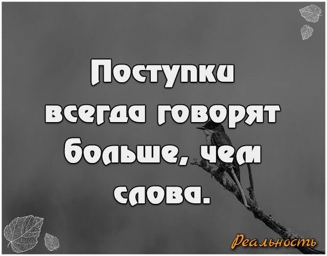 Поступки всегда говорят больше часи саовп реалиость