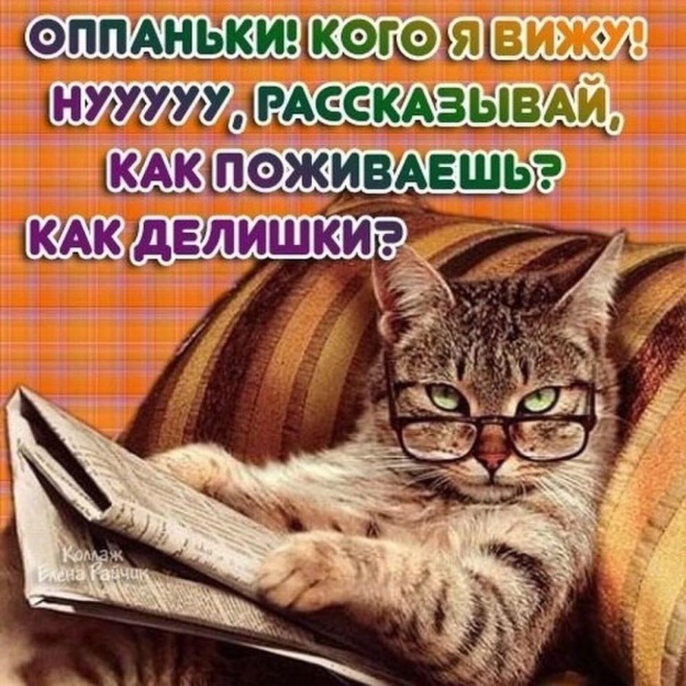 Воспринимаю как шутку. Как поживаешь. Привет как поживаешь. Как ты поживаешь. Открытка как делишки.