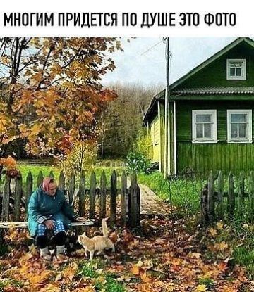 МНОГИМ ПРИДЕТСЯ ПП ДУШЕ ЗЮ ФПП к