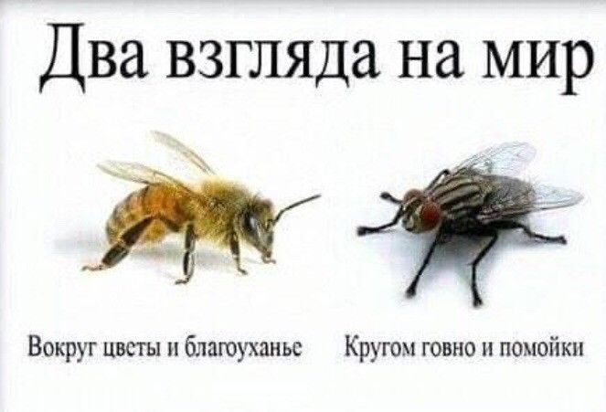 ДВЭ ВЗГЛЯДд на МИР Вокруг цветы блаюуханьс Кругом говно и помойки