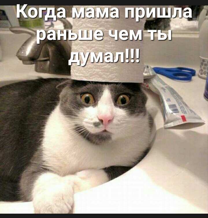 тушат