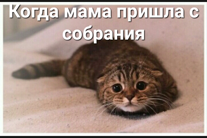 іогп мам ушла