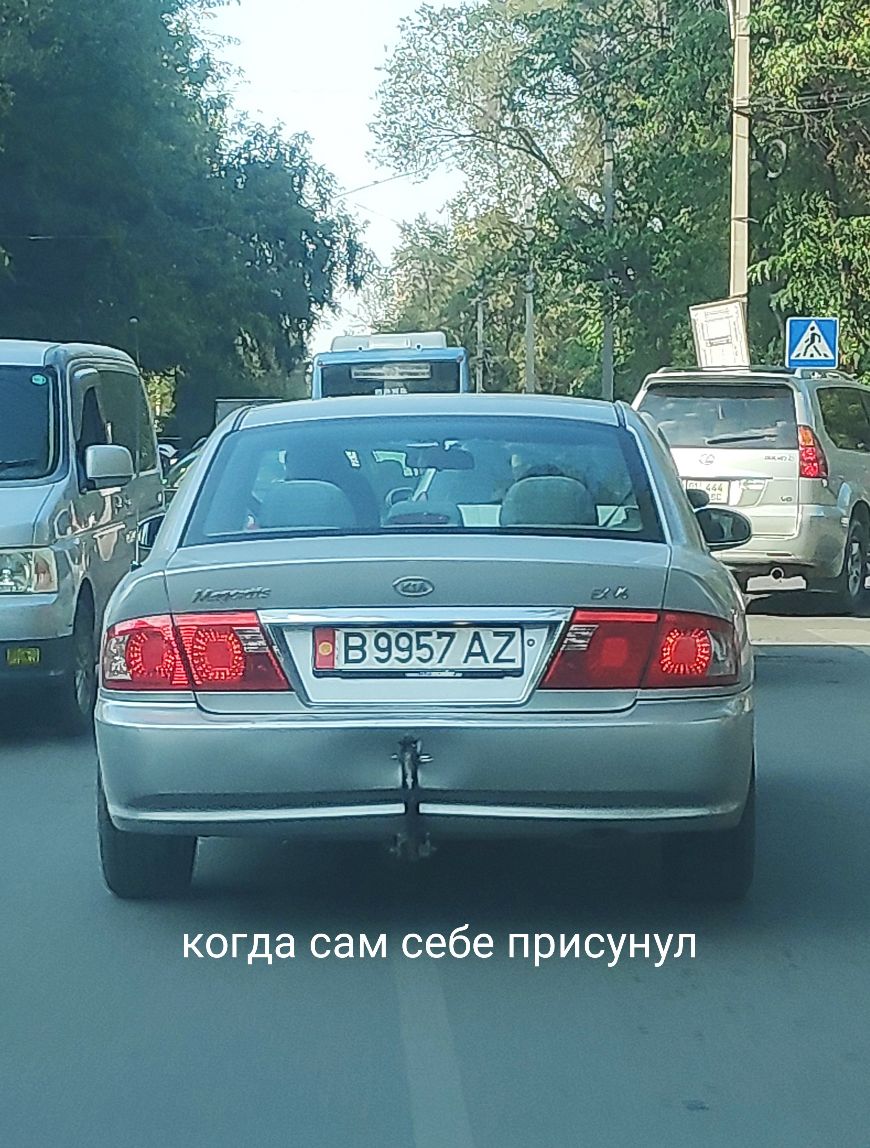 когда сам себе присунул