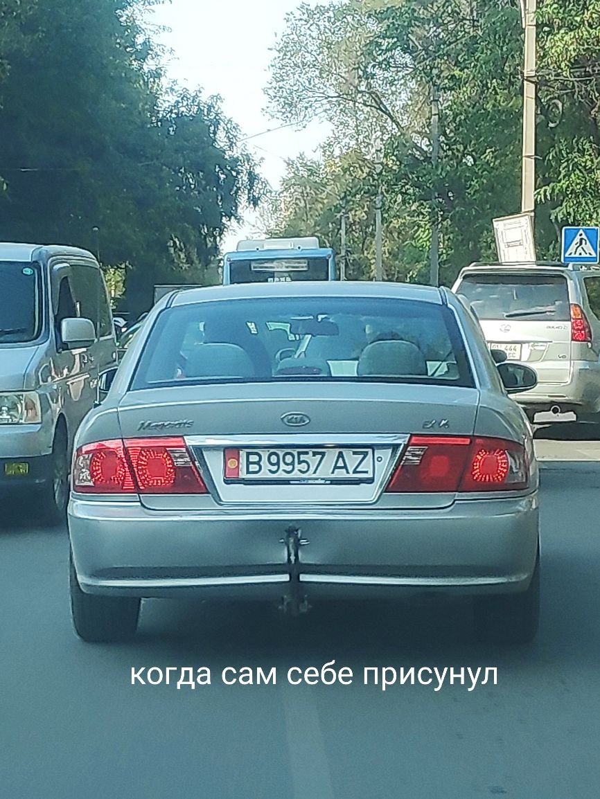 когда сам себе присунул
