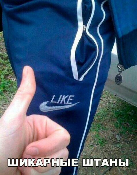 шипідгньпіг ШТАны