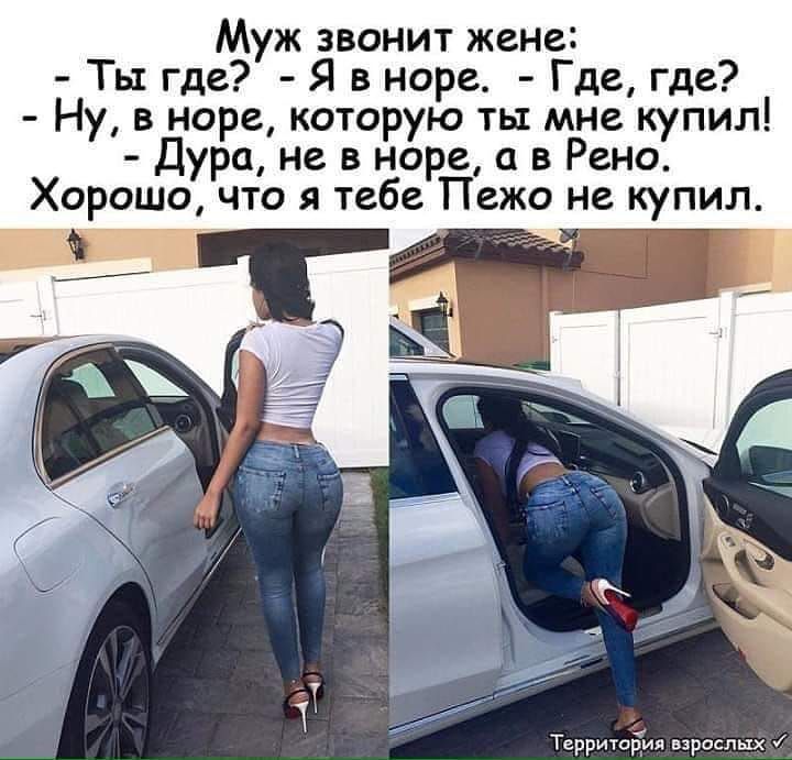 Муж звонит жене Ты где Я в норе Где где Ну в норе которую ты мне купил Дура не в норе в Рено Хорошо что я тебе Пежо не купил Территоімя взрослых и