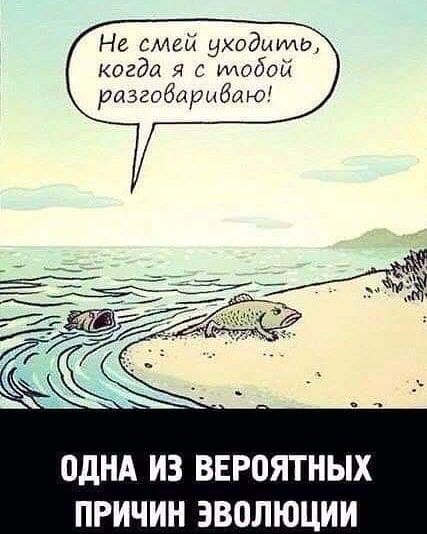 Не смей уходим когда я с тобой ризгибарыбаю ОДНА ИЗ ВЕР0ЯТНЫХ ПРИЧИН ЭВОЛЮЦИИ