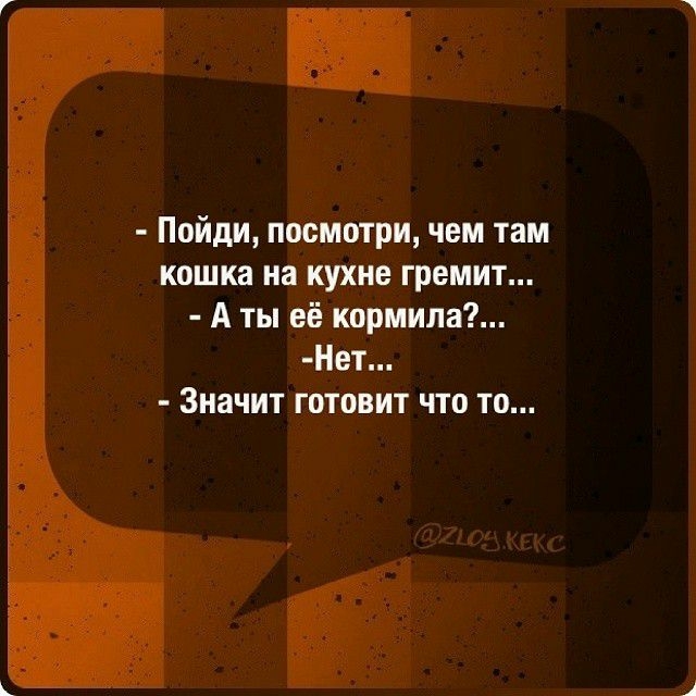 Пойди посмотри чем там кошка на кухне гремит А ты её кормила Нет Значит готовит что то