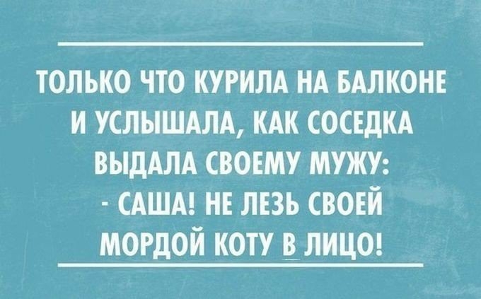 только что курим нд БАЛКОНЕ и услышдлд кдк СОСЕДКА выддлд своему мт САША н лвь своей мордой коту влицод