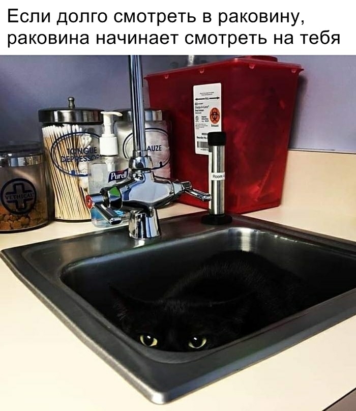 ЕСЛИ ДОЛГО СМОТРЕТЬ В раковину раковина начинает смотреть на тебя