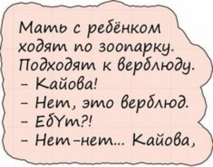 Мамо с ребёнком ходят по зоопарку Подходят к бербАюду Кайоба Нет это бербАюд ЕбУИА Немнет Кайоба