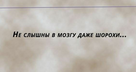 НЕ СЛЫШНЫ В МОЗГУДАЖЕ ШОРОХИ