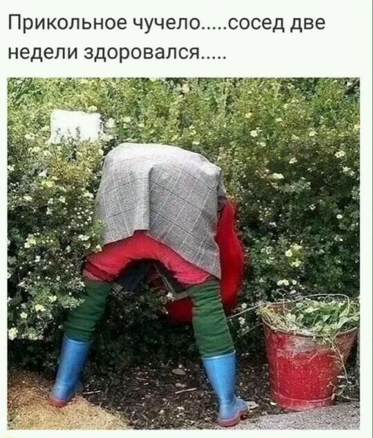 Прикольное чучело _____ сосед две недели здоровался