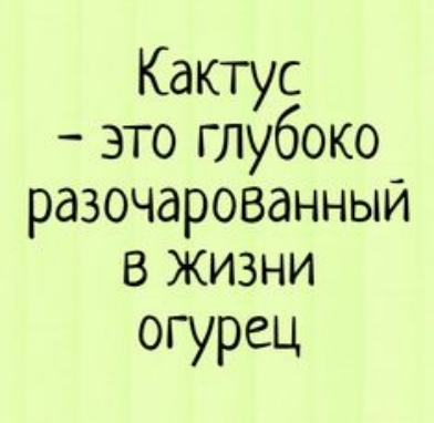 Кактус это глубоко разочарованныи В ЖИЗНИ огурец