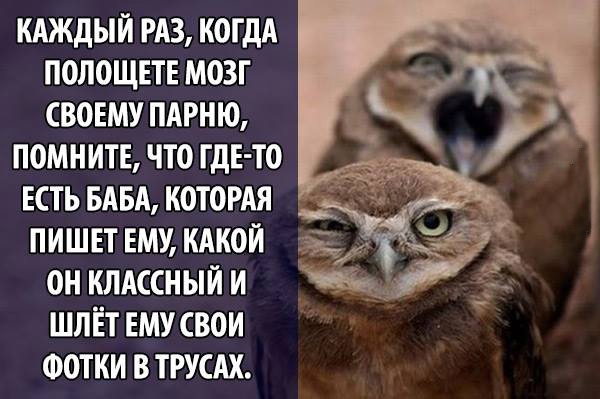 КАЖДЫЙ РАЗ КОГДА ПОЛОЩЕТЕ МОЗГ СВОЕМУ ПАРНЮ ПОМНИТЕ ЧТО ГДЕ ТО ЕСТЬ БАБА КОТОРАЯ ПИШЕТ ЕМУ КАКОЙ ОН КЛАССНЫЙ И ШЛЁТ ЕМУ СВОИ ФОТКИ В ТРУСАХ