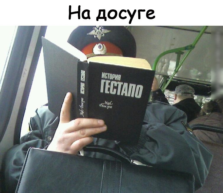 На досуге