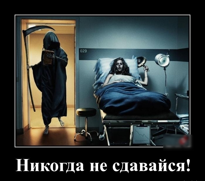 Никогда не сдавайся