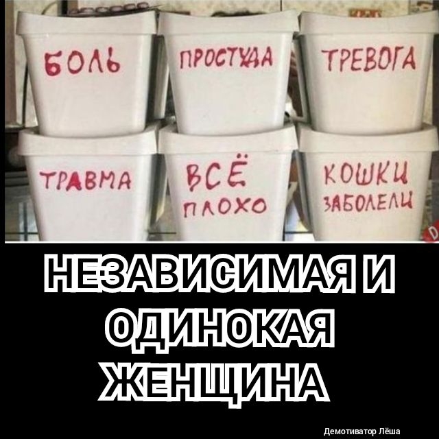 НЕЗАвиеИМАя Ш динэкдя