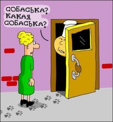 соБвсъкАд Катки соБвсъквз