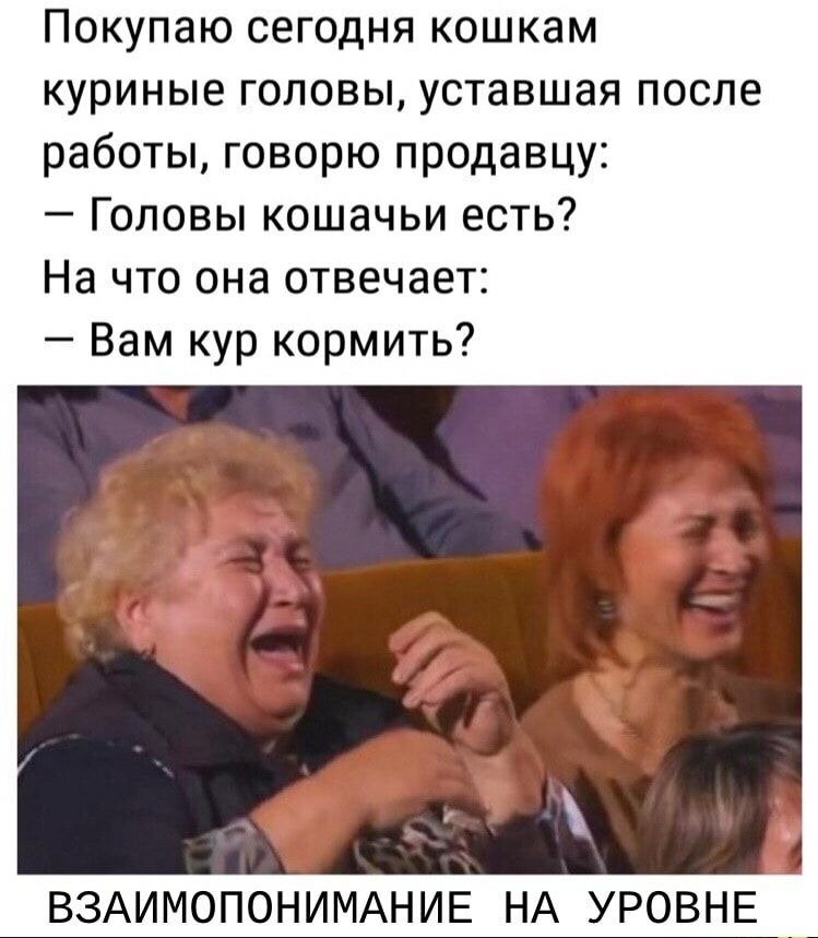 Покупаю сегодня кошкам куриные головы уставшая после работы говорю продавцу Головы кошачьи есть На что она отвечает Вам кур кормить ВЗАИМОПОНИМАНИЕ НА УРОВНЕ