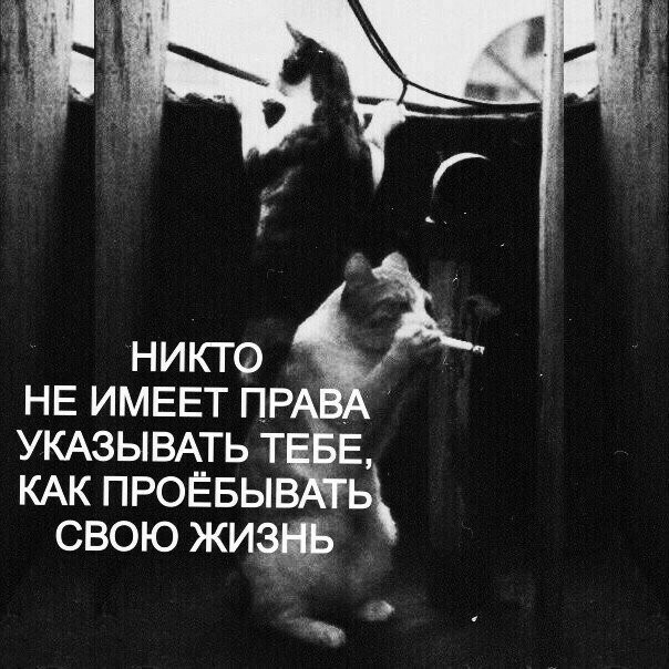 Адм чём ___ Г никго НЕ ИМЕЕТ ПРАЁ УКАЗЫВАТЬТ _ Е КАК ПРОЁБЫВ ь свою жим начин