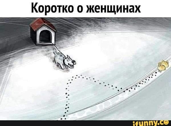 Коротко о женщинах