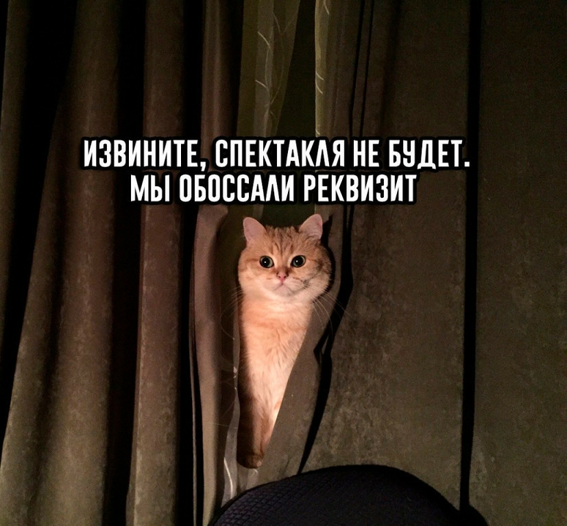 Ё ИЗВИНИТЕ ППЕКТАКЪЯ НЕ БНДЕТ МЫ ПБПССААИ РЕКВИЗИТ