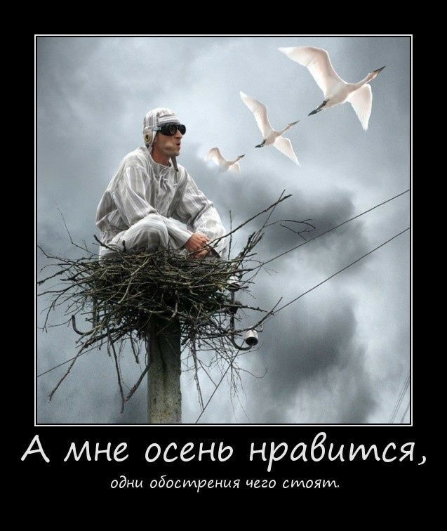 А мне осень нрабииися одни обострения чего сидояид