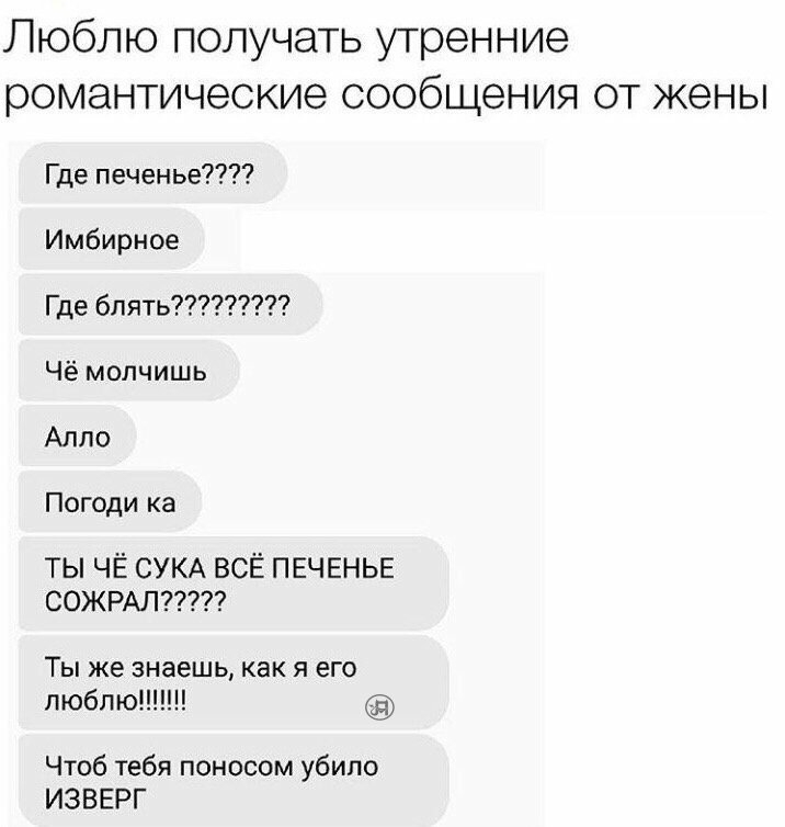 Люблю получать утренние романтические сообщения от жены Где печенье Имбирное Где блять Чё молчишь Алло Погоди ка ТЫ ЧЁ СУКА ВСЁ ПЕЧЕНЬЕ СОЖРАЛ Ты же знаешь как я его люблю Чтоб тебя поносом убило ИЗВЕРГ