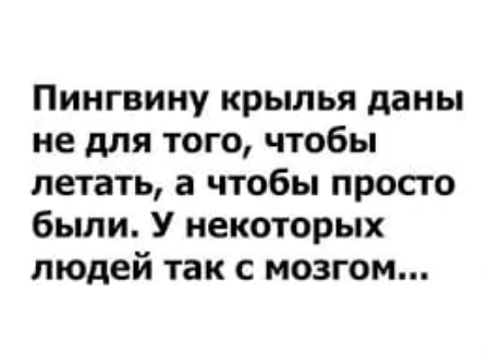 Пингвину крылья даны не для того чтобы летать а чтобы просто были У некоторых людей так с мозгом