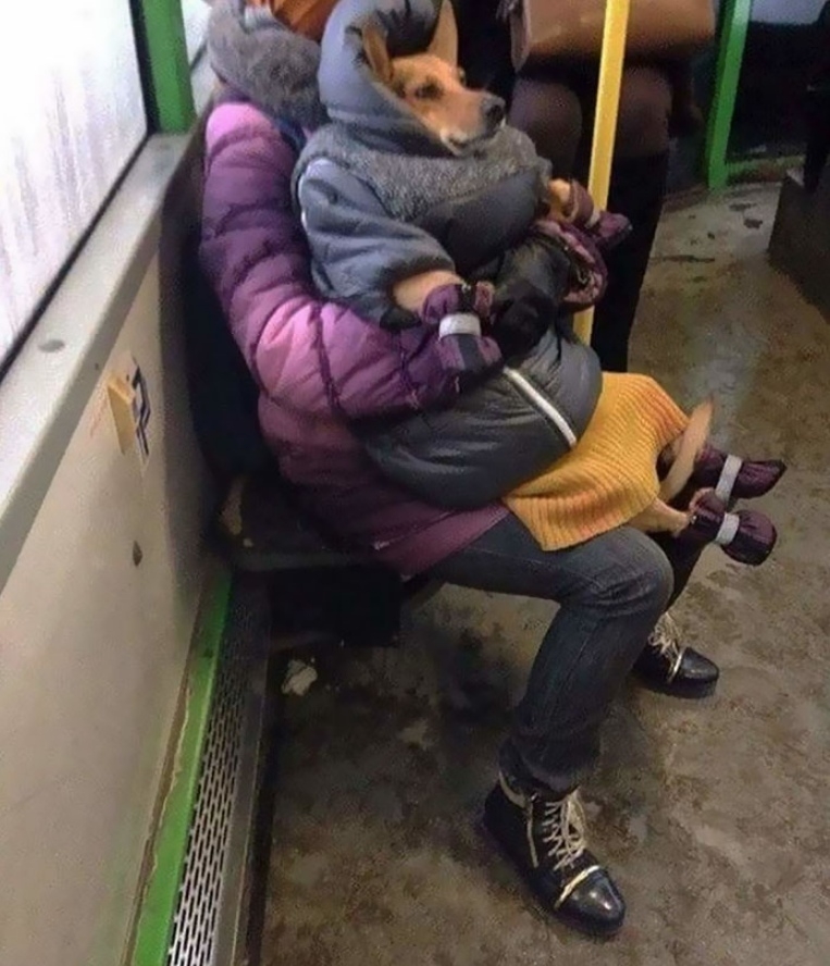 ил