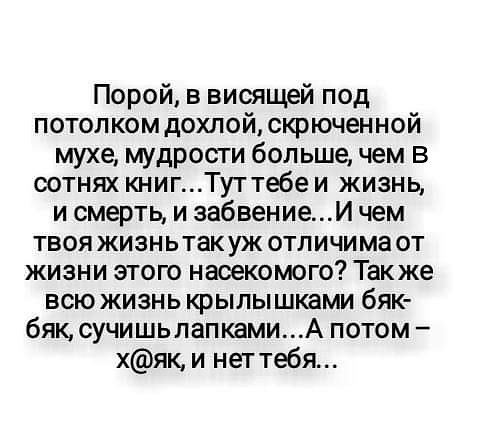 Порой в висящей под потолком дохлой скрюченной мухе мудрости больше чем в сотнях книгТут тебе и жизнь и смерть и забвениеИ чем твоя жизньтакуж отличима от жизни этого насекомого Также всю жизнь крылышками бяк бяк сучишьпапкамиА потом хяк и неттебя