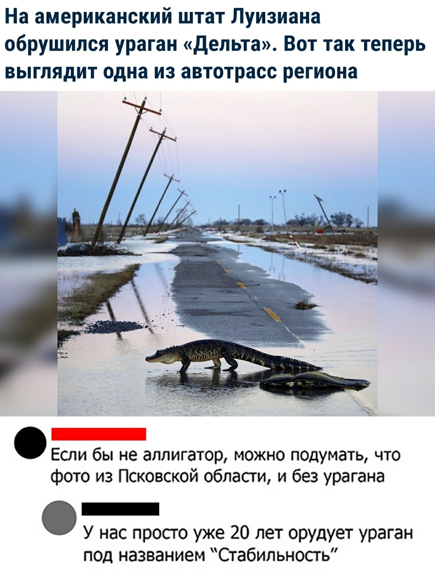 На американский штат Луизиана обрушился ураган дельта Вот так теперь выглядит одна из автотрасс региона _ Если бы не аллигатор можно подумать что фото из Псковской области и без урагана У нас просто уже 20 лет орудует ураган под названием Стабильность