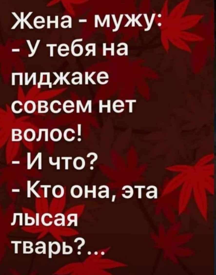Жедаг мужу У тебя на пи жаке лос И что 0 она эта тварь