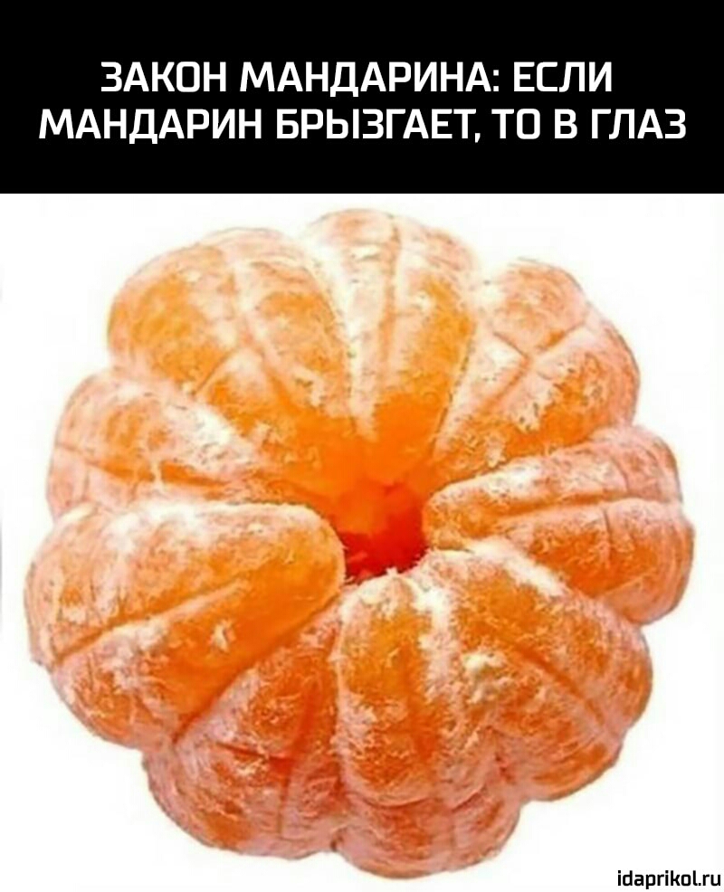 ЗАКОН МАНДАРИНА ЕСЛИ МАНДАРИН БРЫЗГАЕТ ТО В ГЛАЗ ісаргіпгц