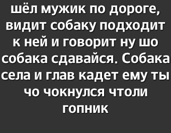 шёл мужик по дороге видит собаку подходит к ней и говорит ну шо собака сдавайся Собака села и глав кадет ему ты чо чокнулся чтоли гопник