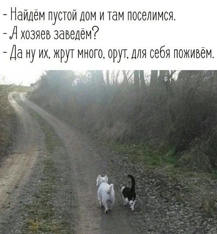 Найдем пустой дом и там пооелимоя А хозяев заведем Да ну их жрут много орут ДЛЯ себя поживем М