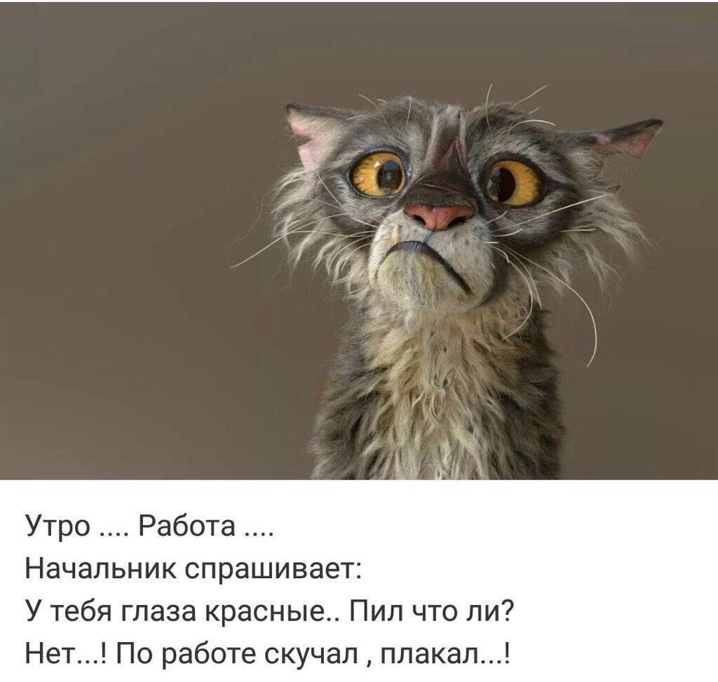 Утро Работа Начальник спрашивает У тебя глаза красные Пил что ли Нет По работе скучал плакал