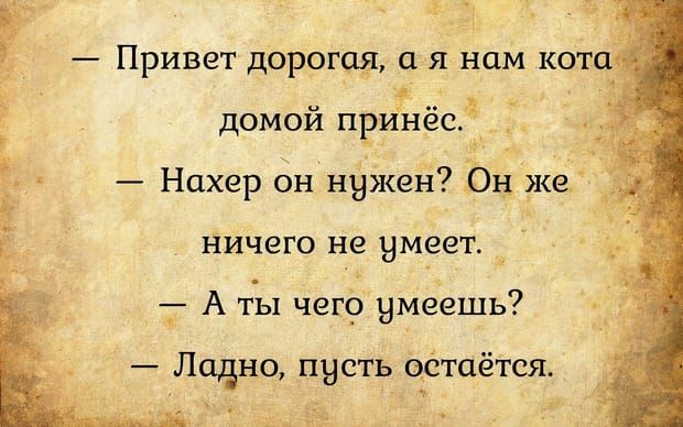 домой принёс Нахер он нужен Ьн же НИЧЭГО не НМЗЭТ Т А ты чег_ умеешь Ладно пусть ётаётся