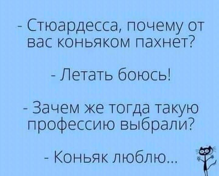 Стюардесса почему от вас коньяком пахнет Летать боюсь Зачем же тогда такую профессию выбрали Коньяк люблю