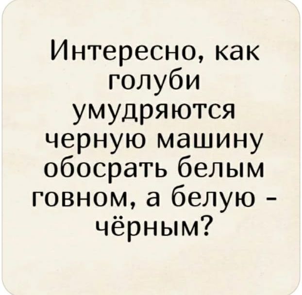 Интересно как голуби умудряются черную машину обосрать белым говном а белую чёрным