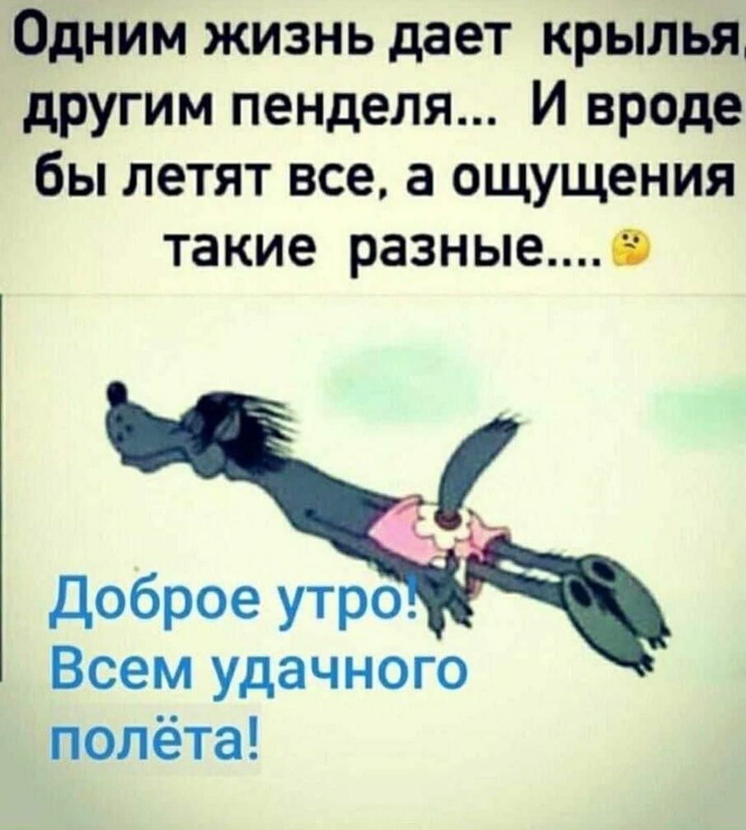 Одним жизнь дает крылья другим пенделя И вроде бы летят все а ощущения такие разныео доброе утро Всем удачного полёта