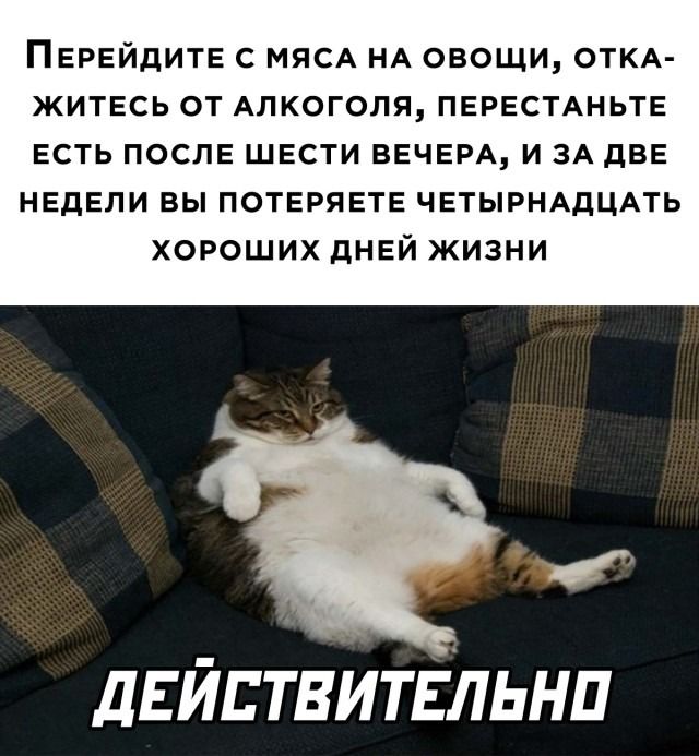 ПЕРЕЙДИТЕ С МЯСА НА ОВОЩИ ОТКА ЖИТЕСЬ ОТ АЛКОГОЛЯ ПЕРЕСТАНЬТЕ ЕСТЬ ПОСЛЕ ШЕСТИ ВЕЧЕРА И ЗА дВЕ НЕДЕЛИ ВЫ ПОТЕРЯЕТЕ ЧЕТЫРНАДЦАТЬ ХОРОШИХ дНЕЙ ЖИЗНИ дЕЙДТВИТЕЛЬНП