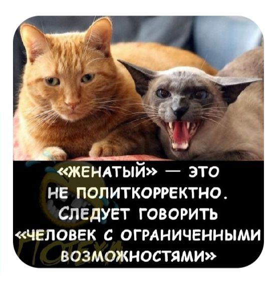 _с___ _ ЖЕНАТЫИ _ ЭТО НЕ ПОПИТКОРРЕКТНО СЛЕДУЕТ ГОВОРИТЬ ЧЕЛОВЕК С ОГРАНИЧЕННЫМИ ВОЗМОЖНОСТЯМИ
