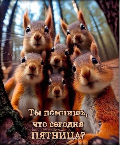 Ты помнишь что ёегбдня ПЯТНИЦА
